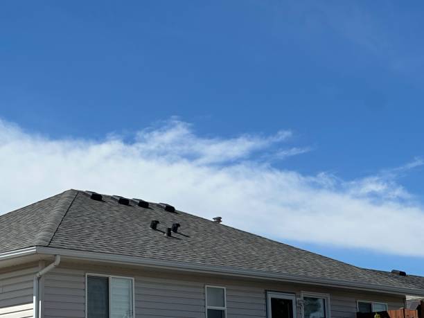 Reliable York, SC Roofing service Solutions